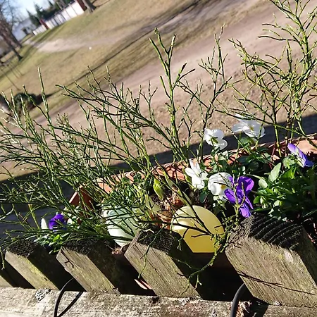 호텔 Schuetzenhaus Lenzen