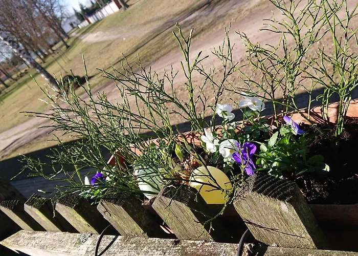 ホテル Schuetzenhaus Lenzen